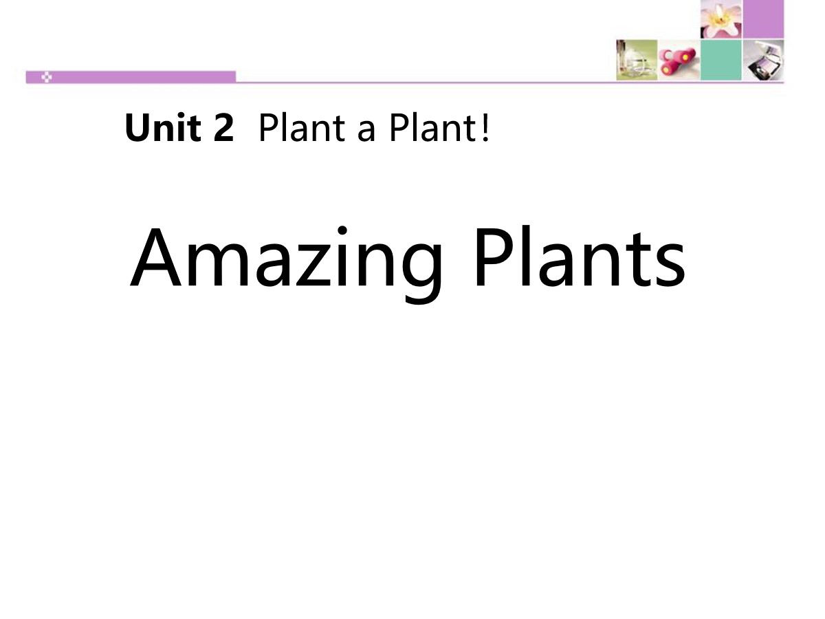 《Amazing Plants》Plant a Plant PPT课件