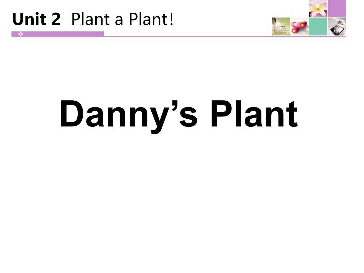 《Danny's Plant》Plant a Plant PPT免费课件