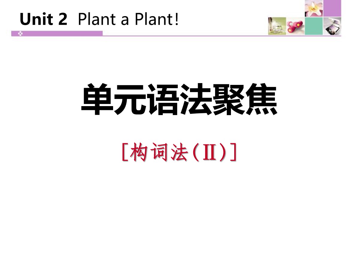 《单元语法聚焦》Plant a Plant PPT课件