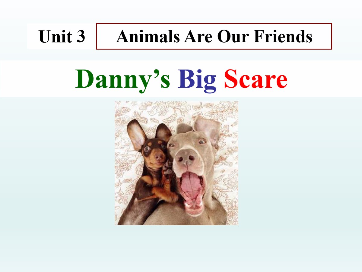 《Danny's Big Scare》Animals Are Our Friends PPT课件