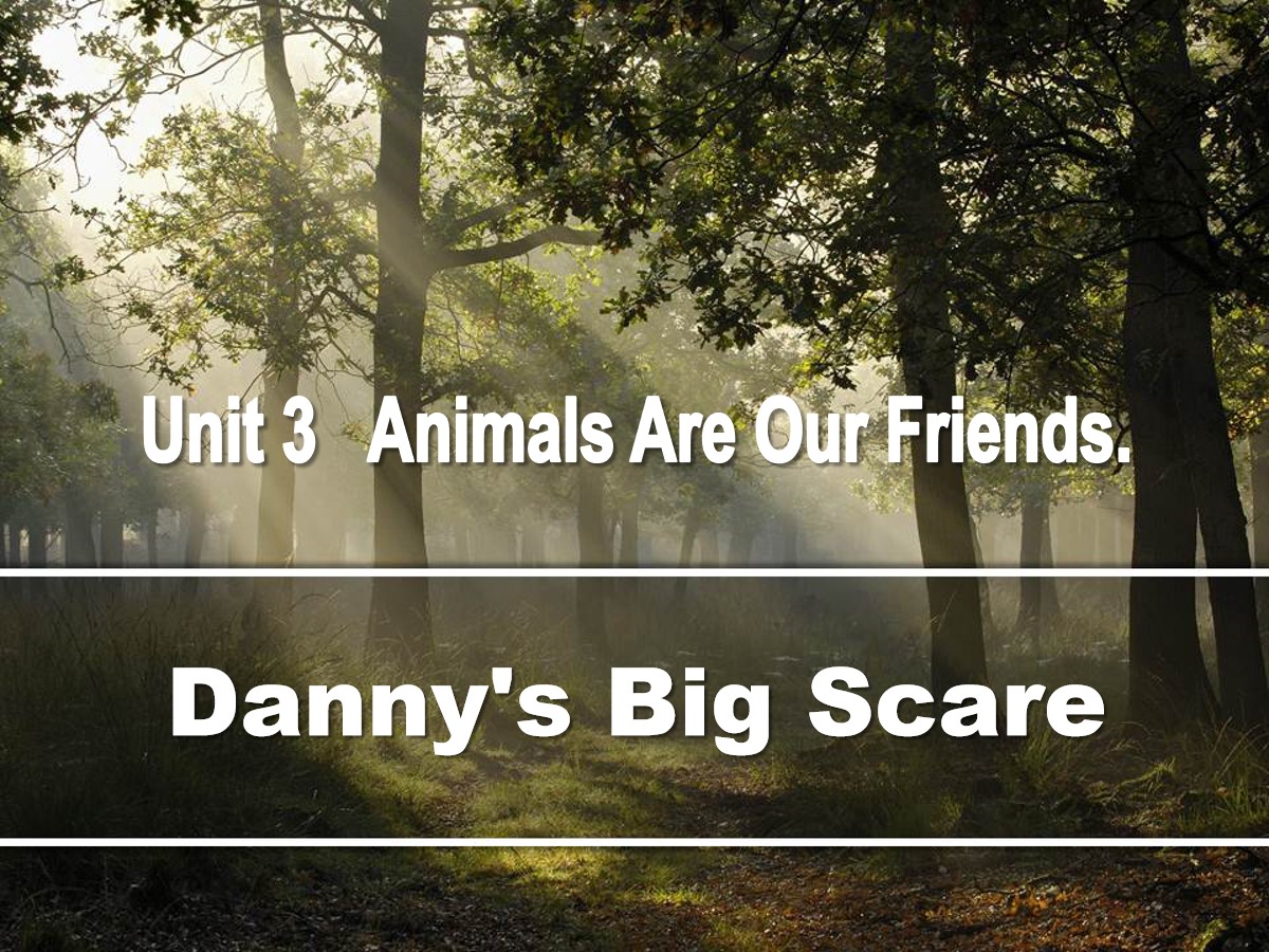 《Danny's Big Scare》Animals Are Our Friends PPT