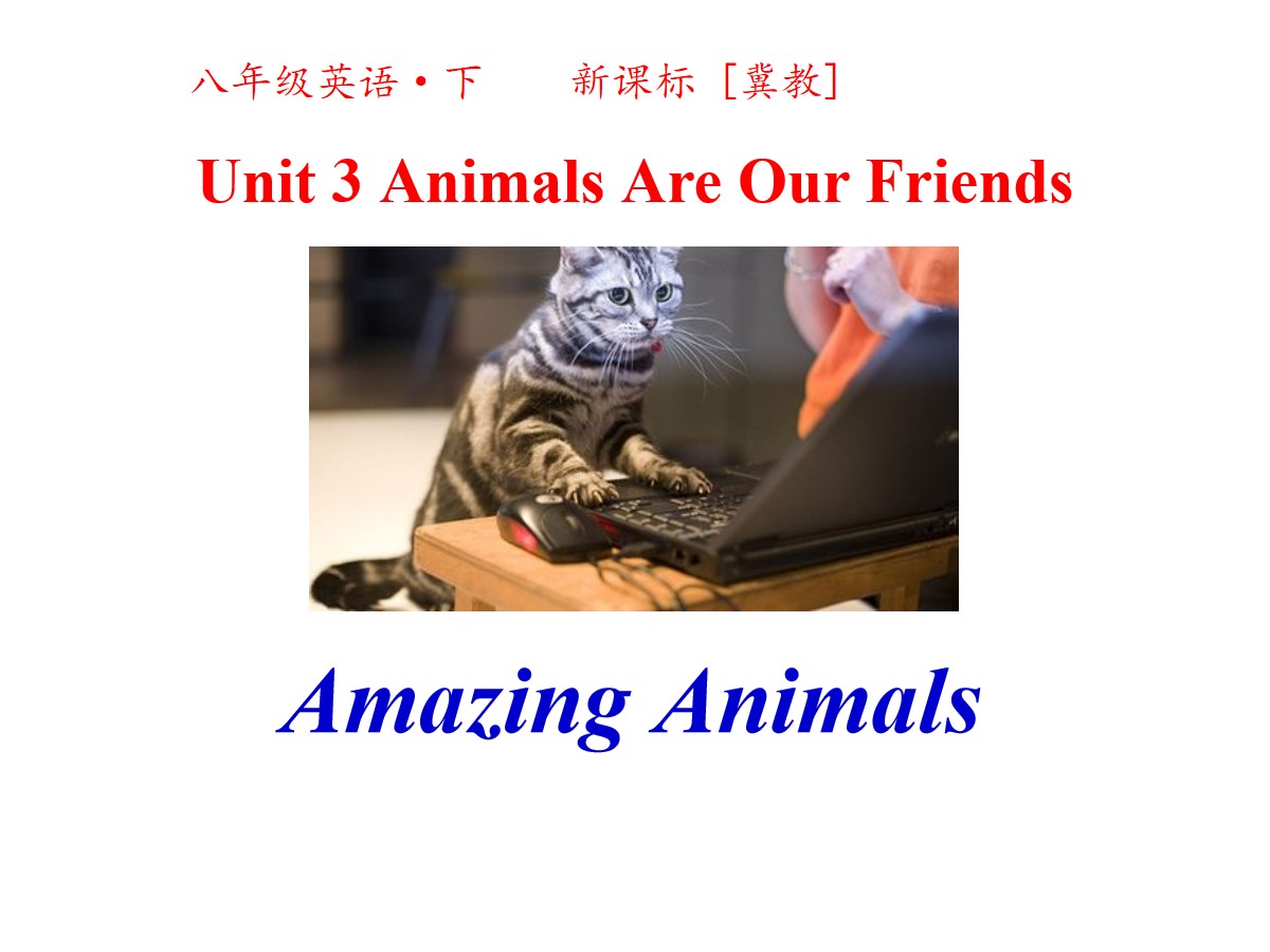 《Amazing Animals》Animals Are Our Friends PPT