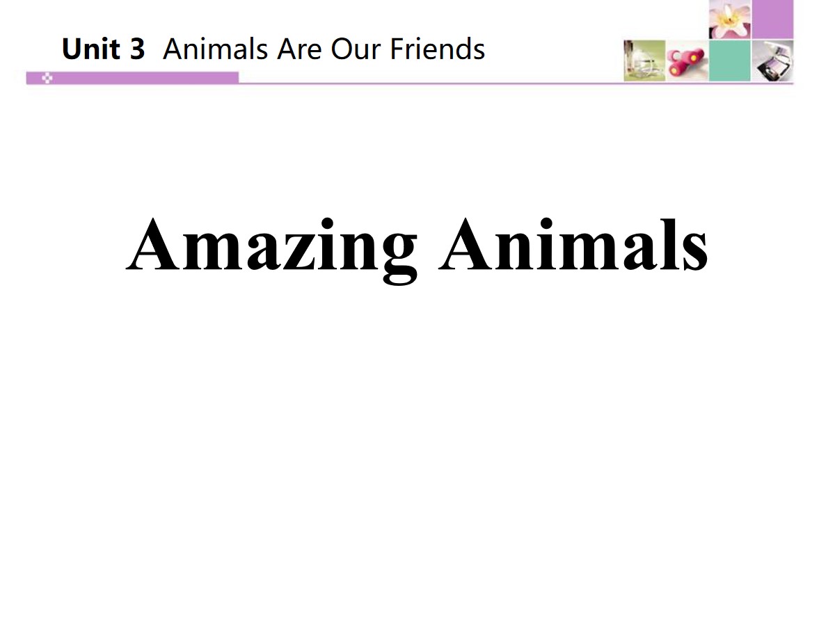 《Amazing Animals》Animals Are Our Friends PPT教学课件