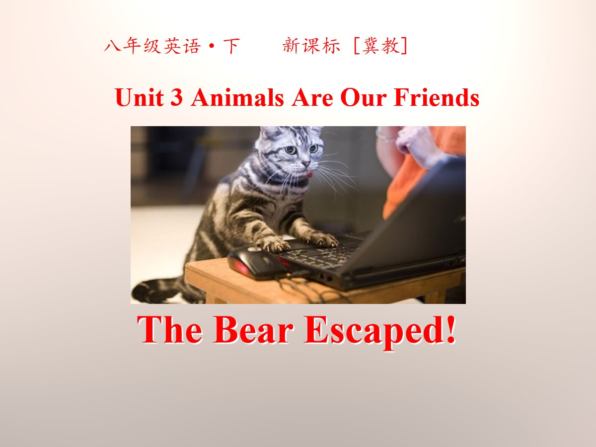 《The Bear Escaped!》Animals Are Our Friends PPT