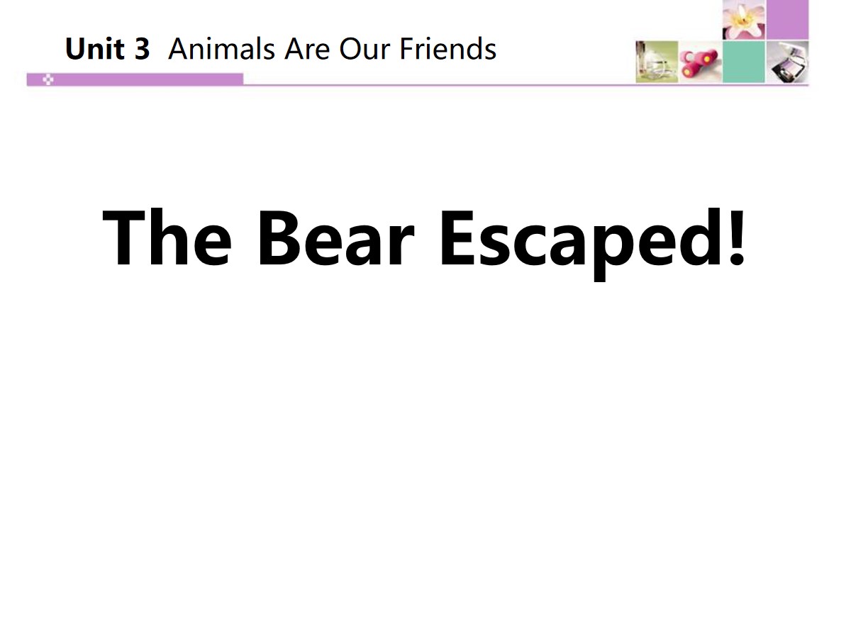 《The Bear Escaped!》Animals Are Our Friends PPT教学课件