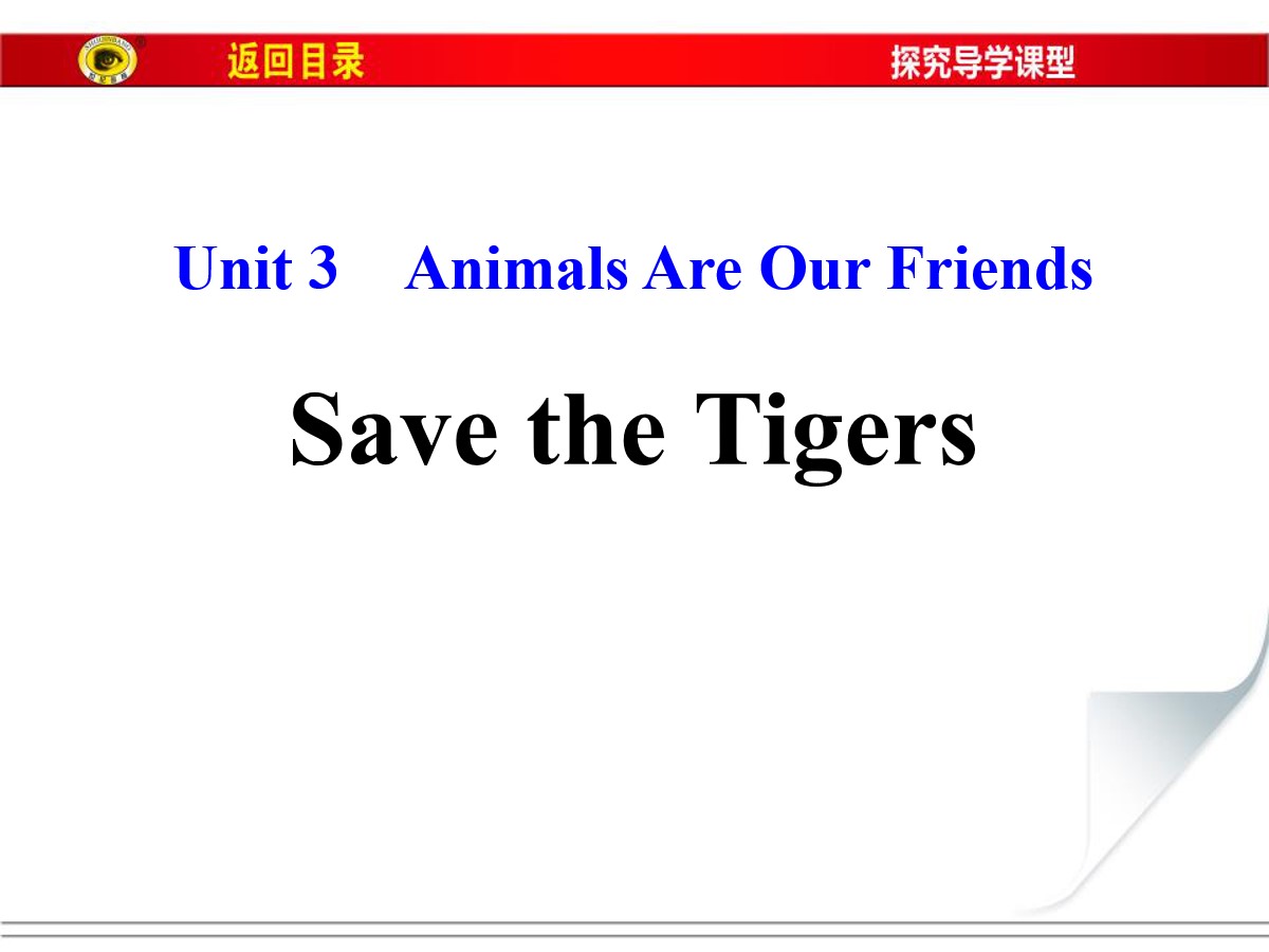 《Save the Tigers》Animals Are Our Friends PPT