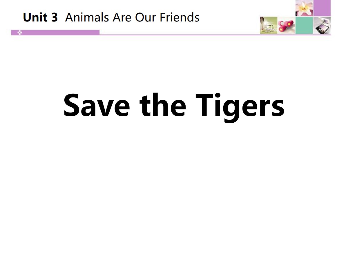 《Save the Tigers》Animals Are Our Friends PPT课件