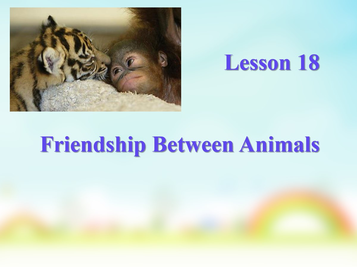 《Friendship Between Animals》Animals Are Our Friends PPT