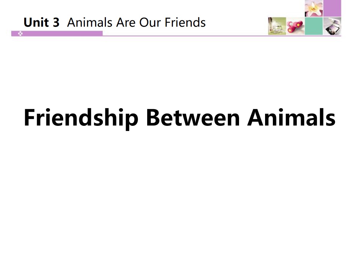 《Friendship Between Animals》Animals Are Our Friends PPT教学课件