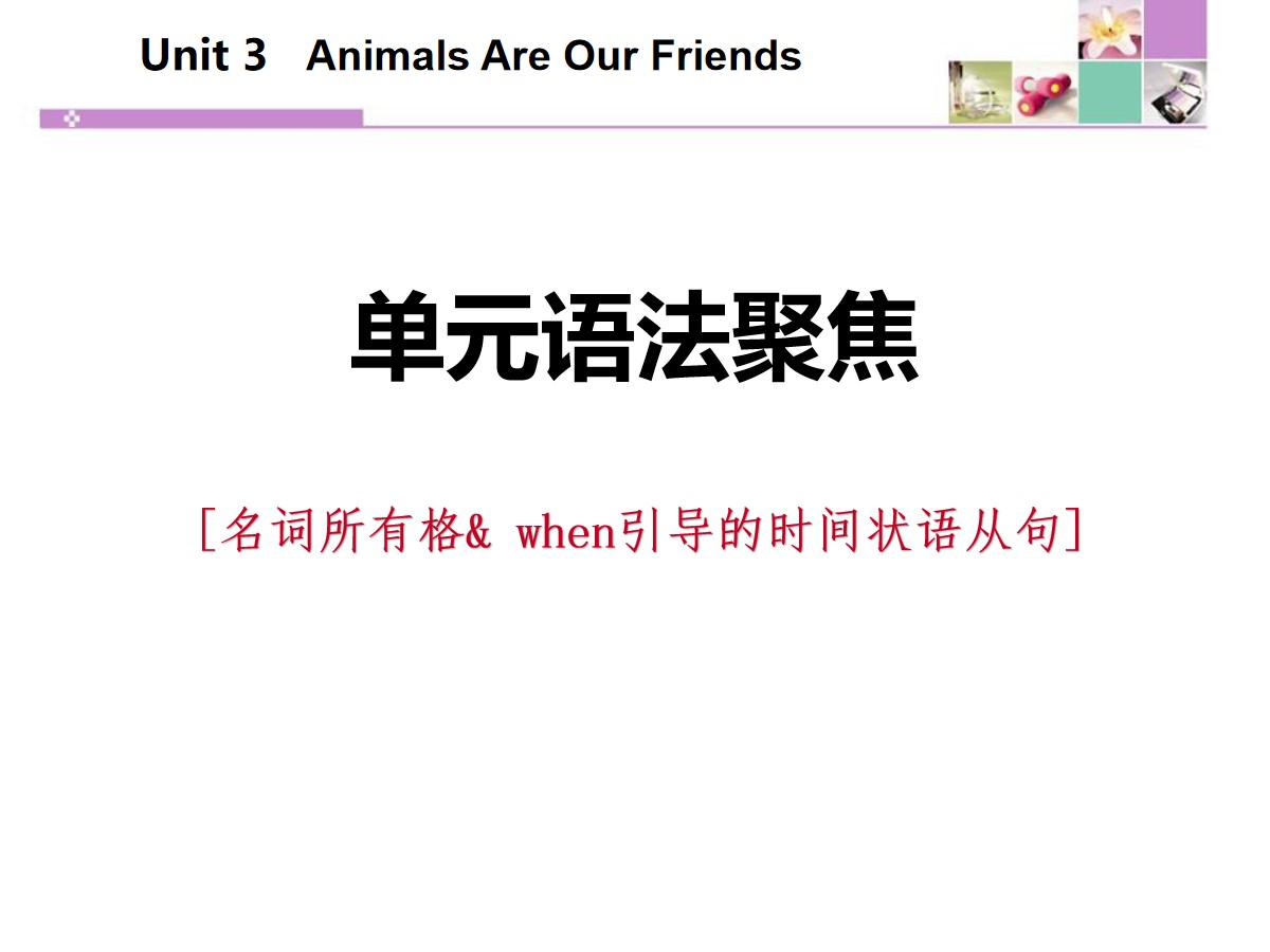 《单元语法聚焦》Animals Are Our Friends PPT