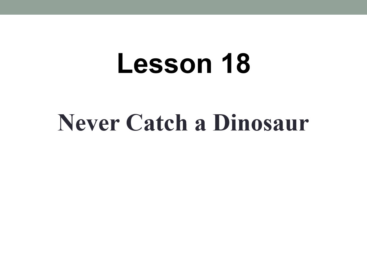 《Never Catch a Dinosaur》Safety PPT