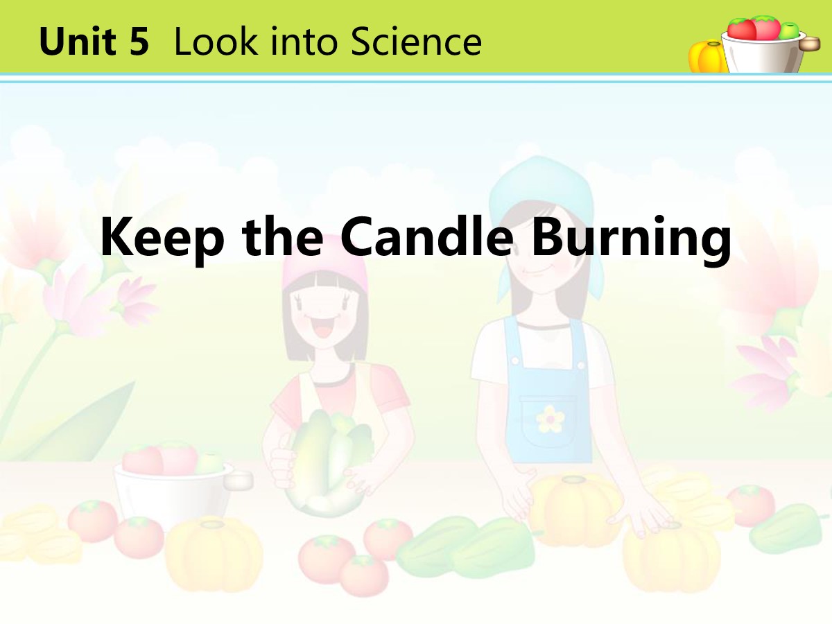 《Keep the Candle Burning》Look into Science! PPT课件