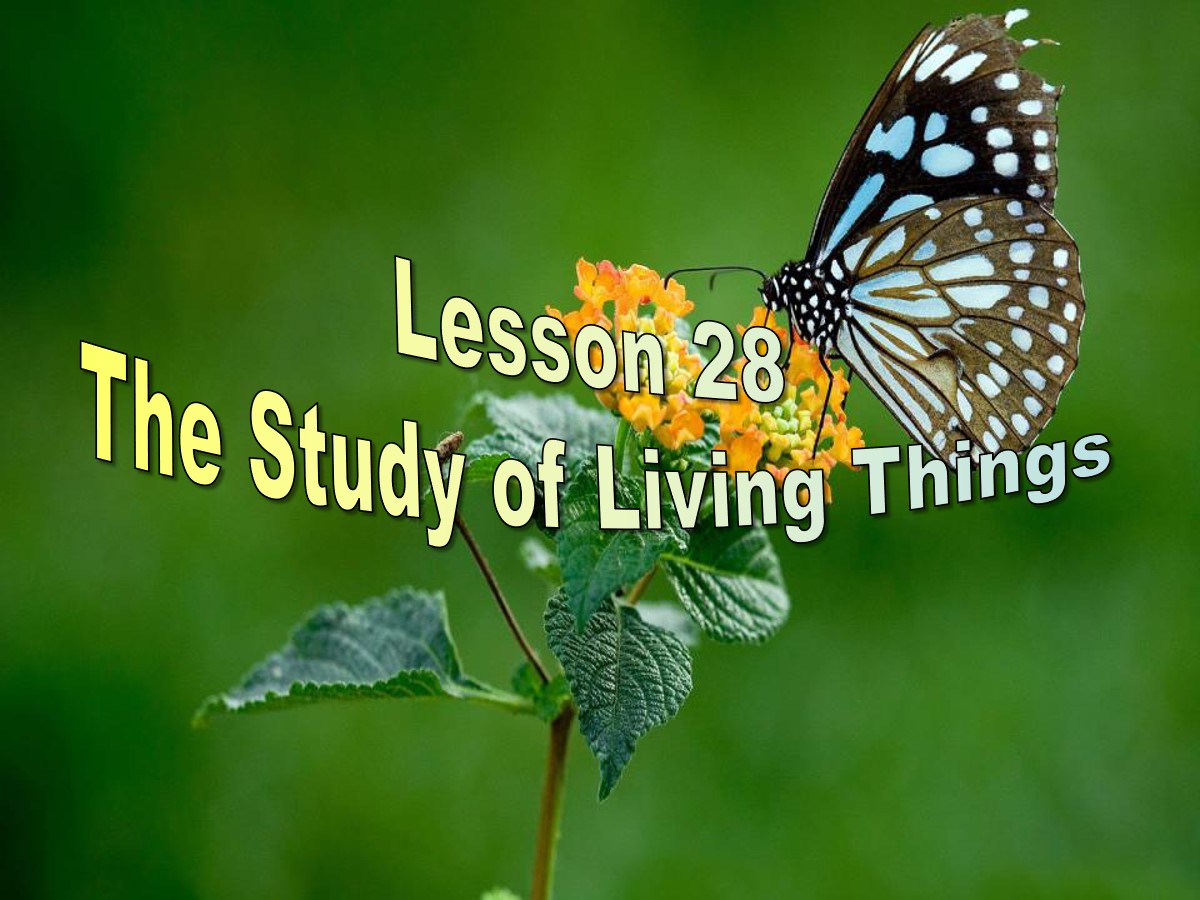 《The Study of Living Things》Look into Science! PPT