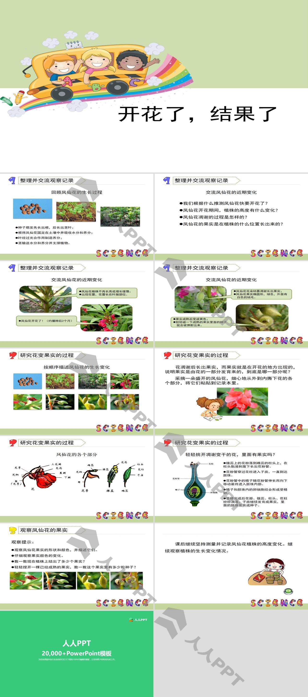 《开花了，结果了》植物的生长变化PPT长图