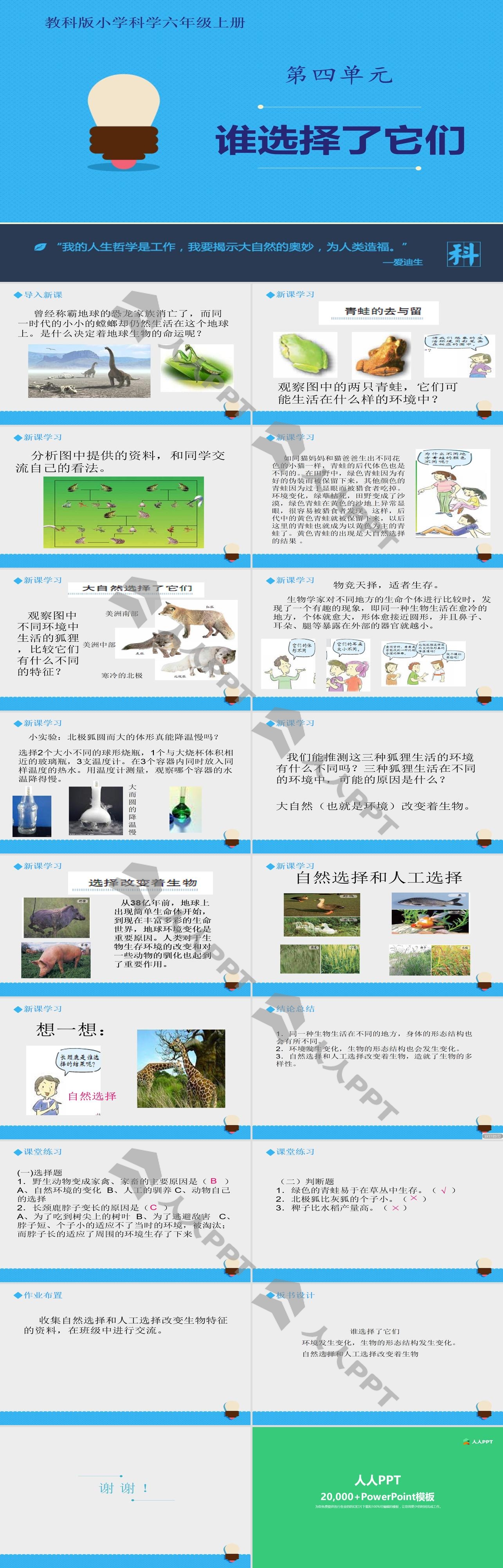 《谁选择了它们》生物的多样性PPT教学课件长图