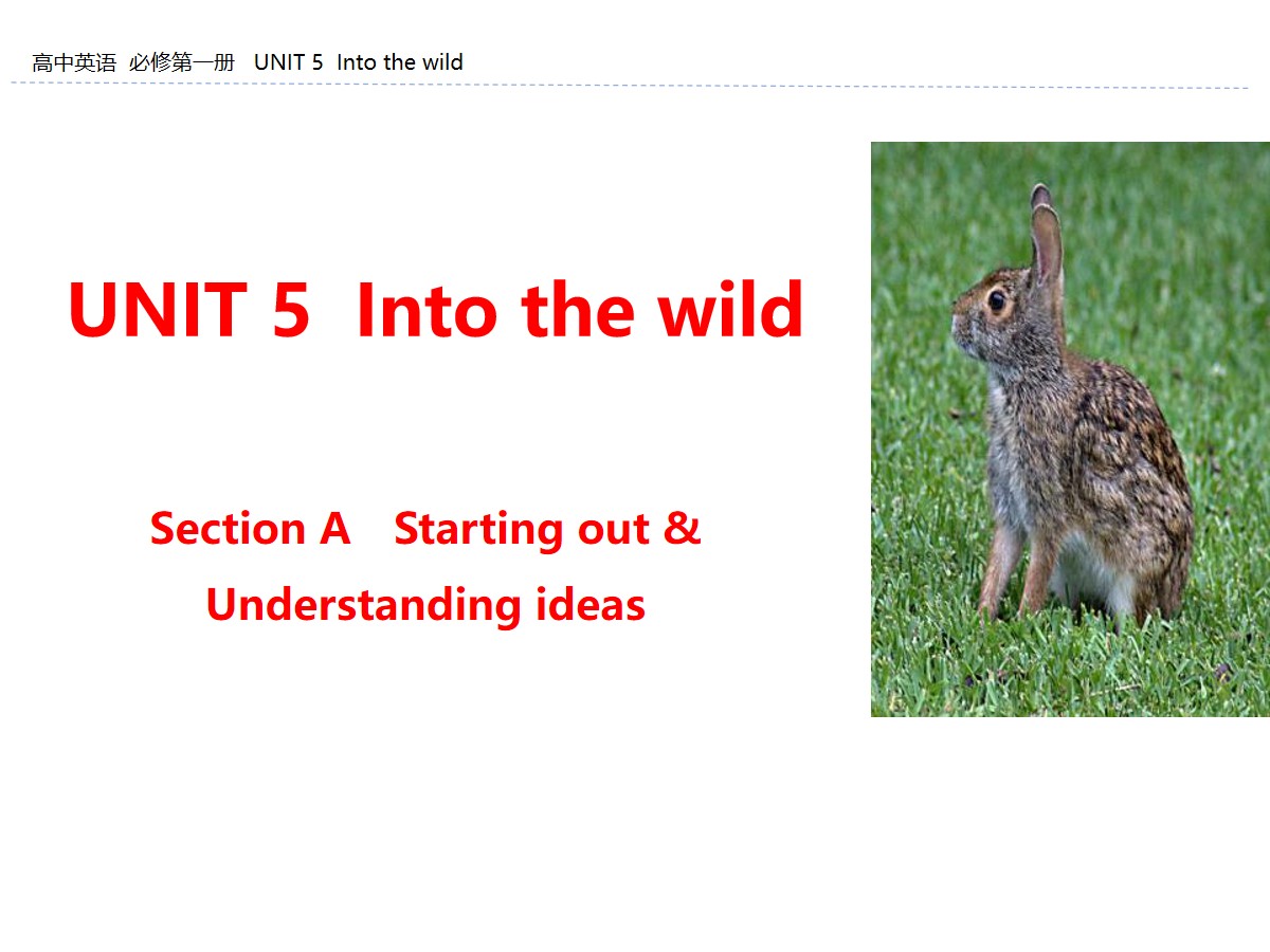 《Into the wild》Section A PPT