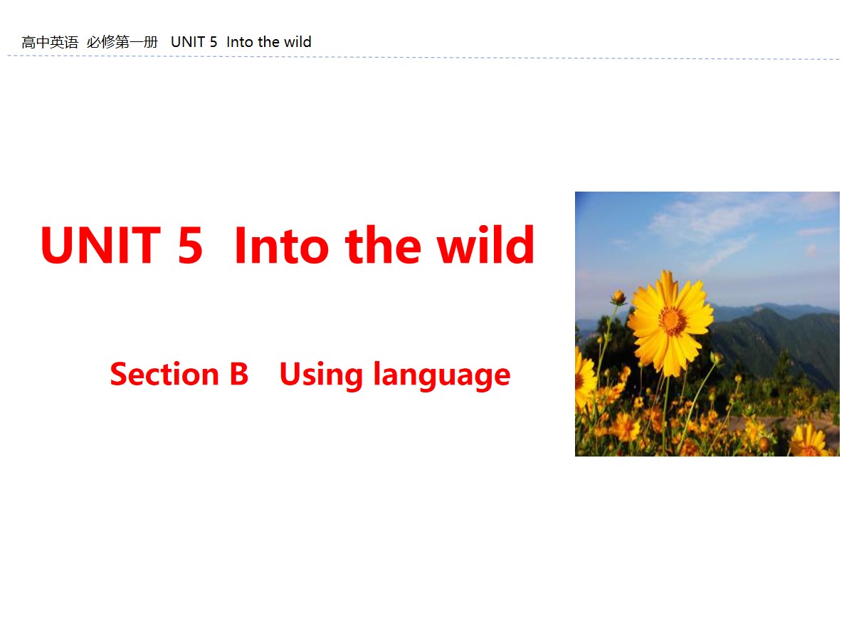 《Into the wild》Section B PPT