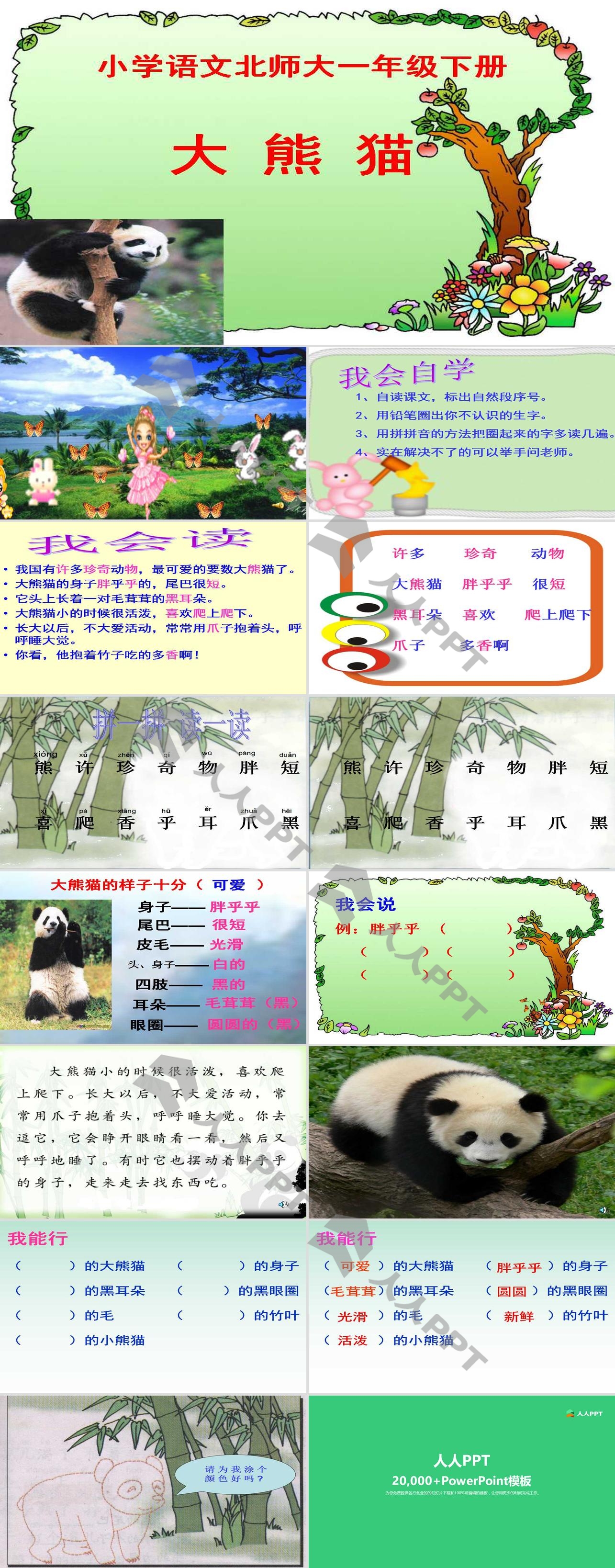 《大熊猫》PPT课件2长图