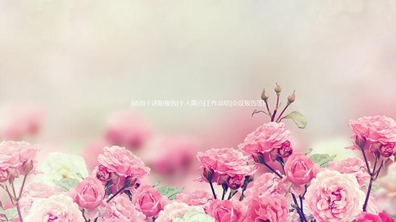 粉色蔷薇花背景的韩国PPT模板