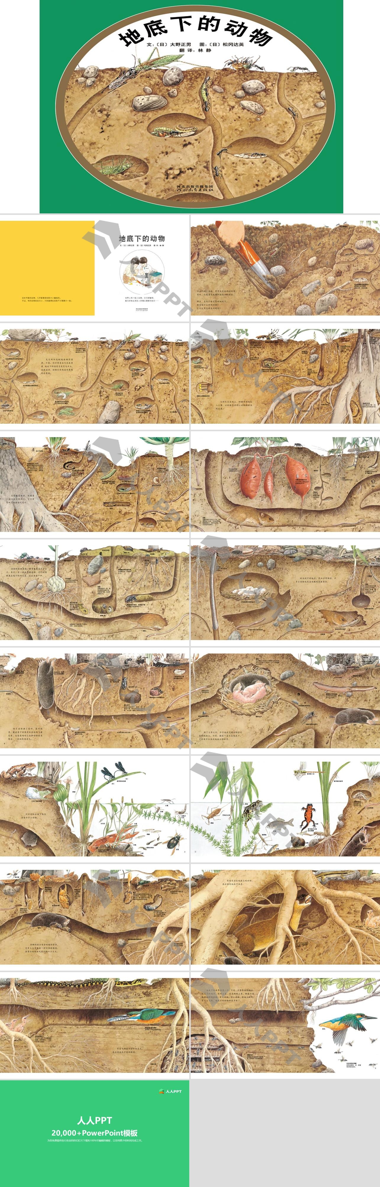 《地底下的动物》绘本故事PPT长图