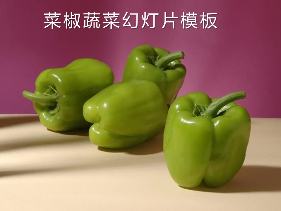 紫色菜椒背景的植物幻灯片模板