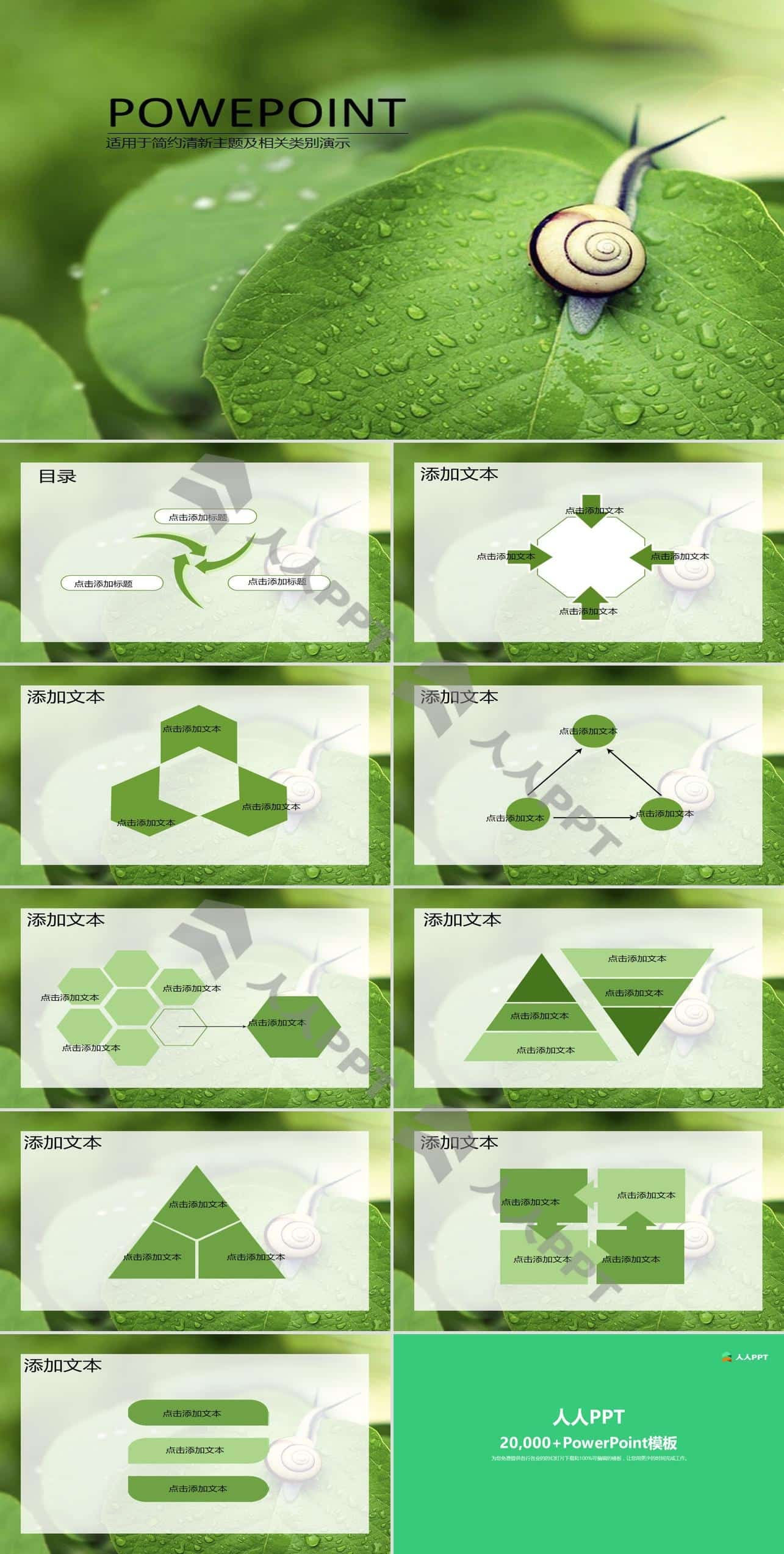 高清蜗牛露珠绿叶小清新PPT自然模板长图