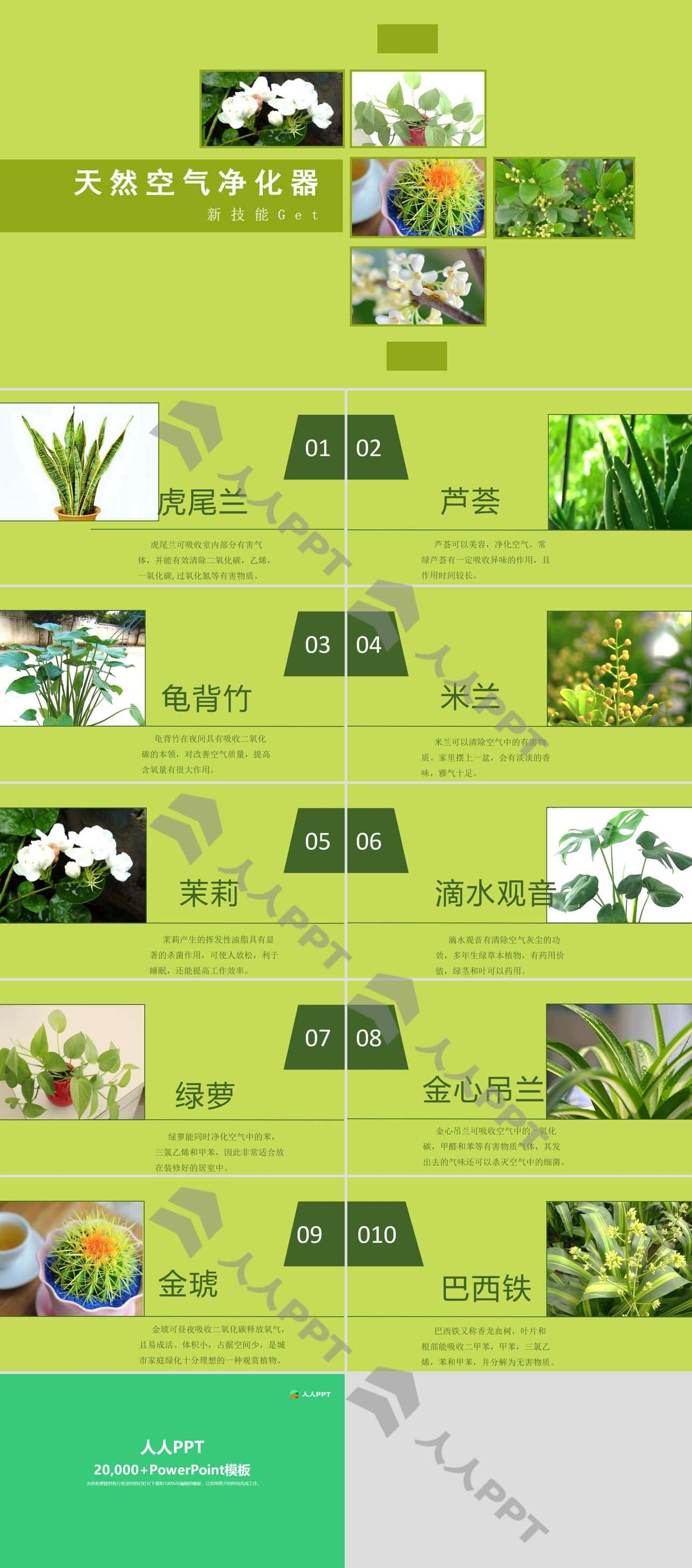 植物对空气环境的改观影响PPT模板长图